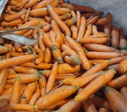 Pieejami nestandarta burkāni