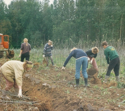 kokaudzētava 90tie