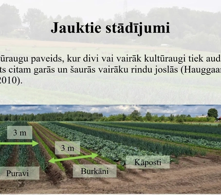 definicija